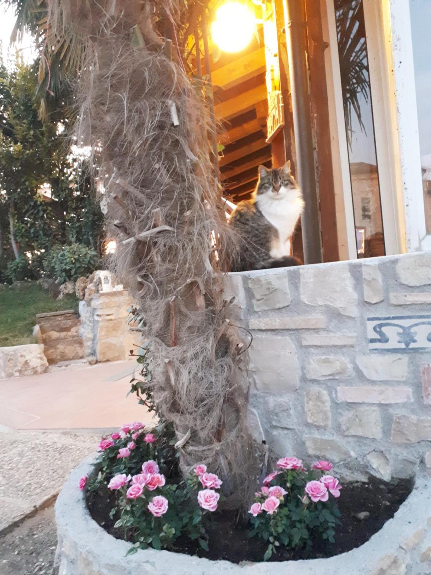 Perla Bed & Breakfast Gussago Exterior foto
